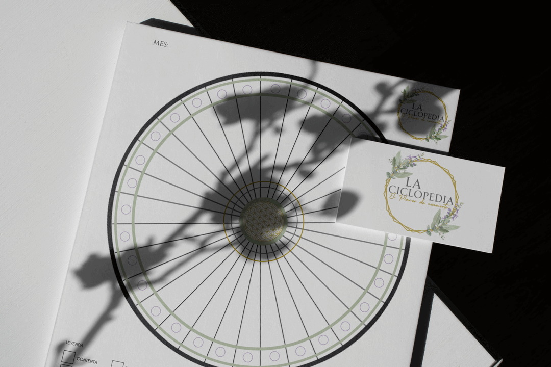 La sombra de una flor cae con gracia sobre un calendario circular y una tarjeta de visita que dice "La Ciclopedia". Las elegantes ilustraciones florales evocan el tema de los ciclos en la naturaleza. Este arreglo, sobre una superficie blanca, encarna una estética minimalista.
