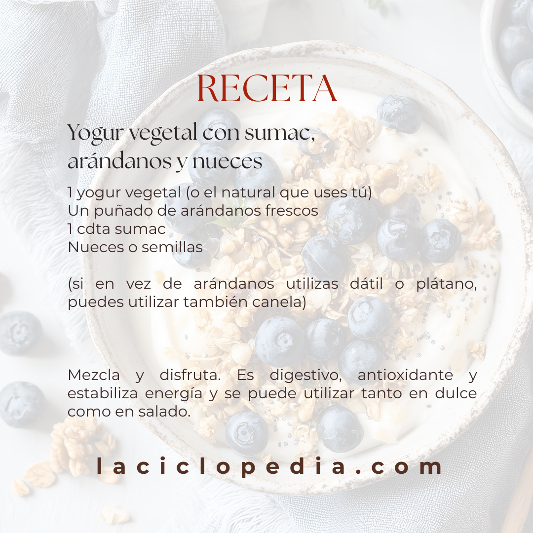 Un bol de yogur vegetal con arándanos, nueces y granola sobre una superficie clara. El texto sobre la imagen comparte una receta de yogur con zumaque, arándanos y nueces en español.